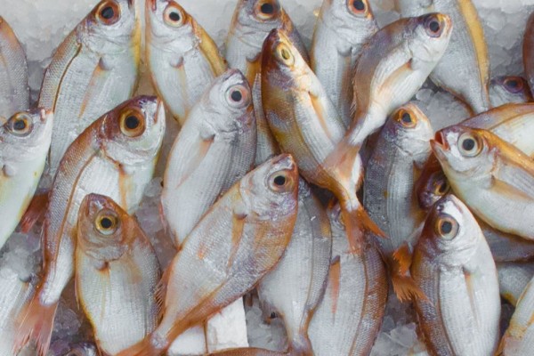 Yagasu Mart, Bantu Masyarakat Pesisir Jual Hasil Tambak