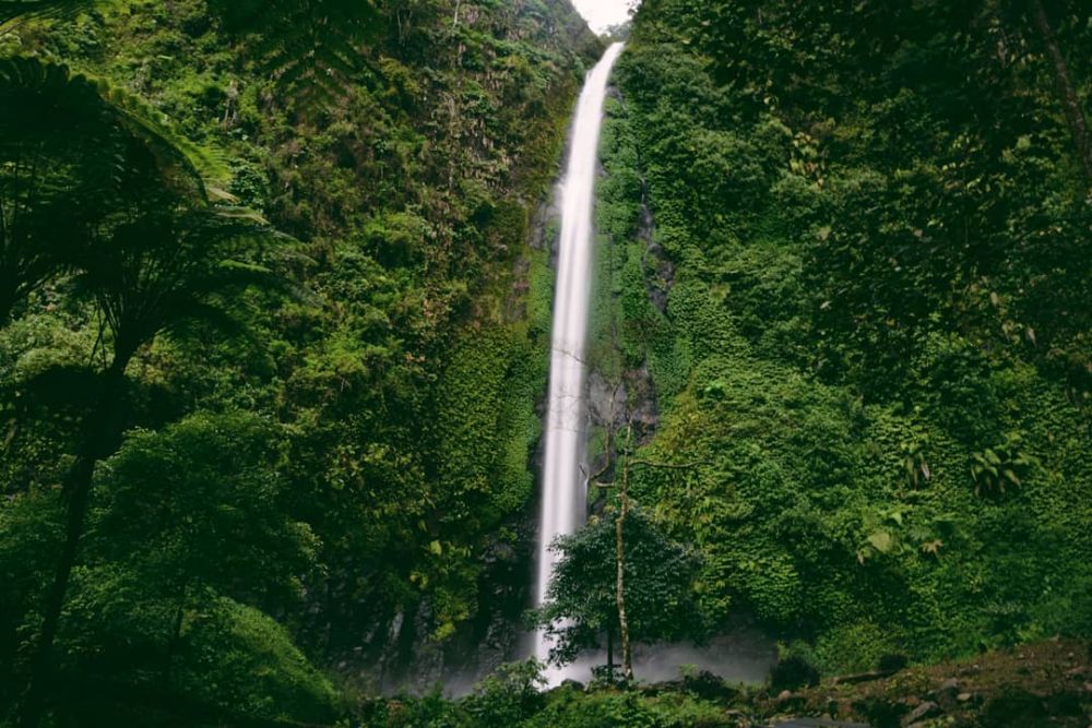 7 Objek Wisata Alam Di Jember Ini Siap Segarkan Mata Dan