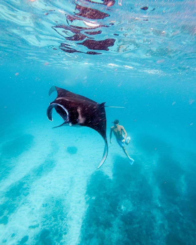 5 Spot Snorkeling di Pulau Nusa Penida