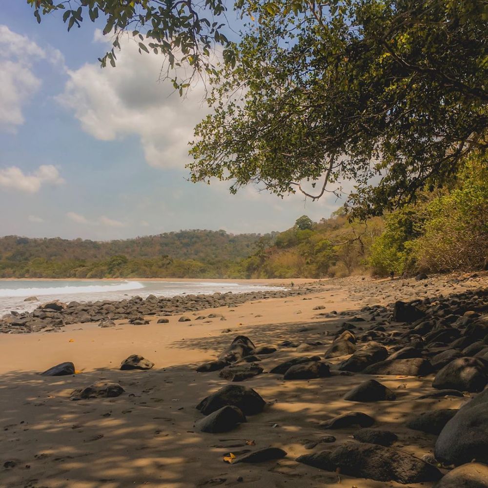 7 Objek Wisata Alam Di Jember Ini Siap Segarkan Mata Dan