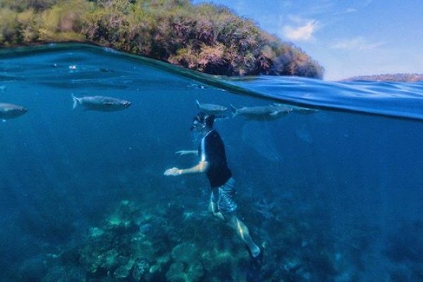 5 Spot Snorkeling di Pulau Nusa Penida