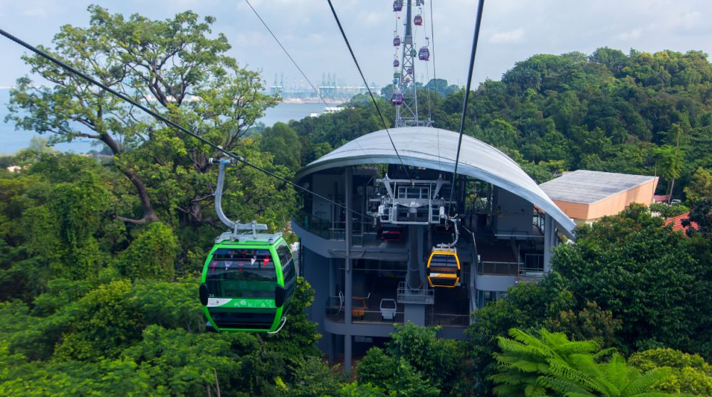 10 Fakta Unik Henderson Waves, Jembatan Tertinggi & Cantik Singapura