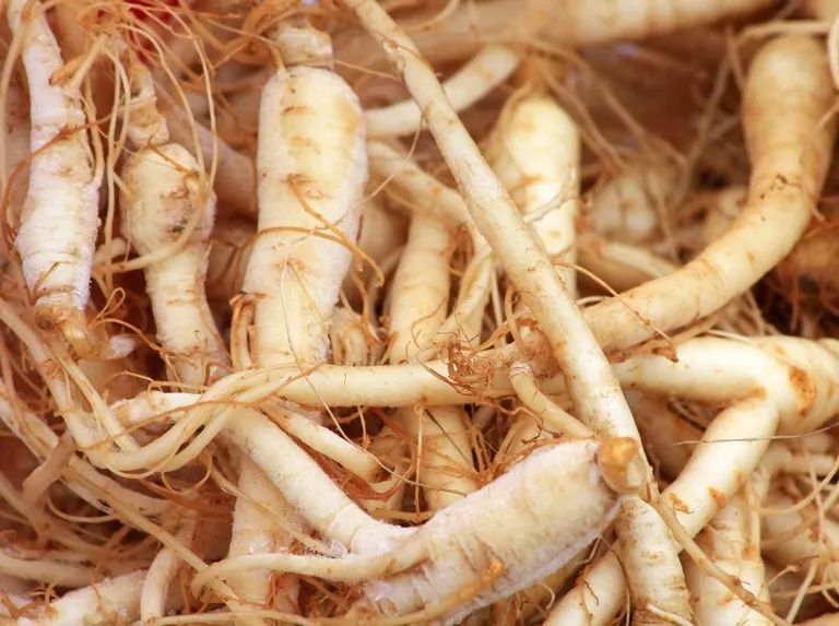 5 Tanaman Herbal untuk Mengatasi Stres