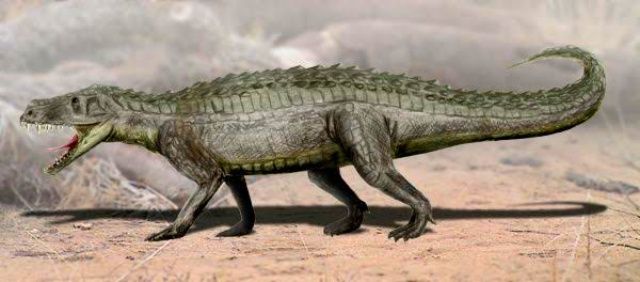 5 Fakta Tentang Dinosaurus, Hewan Purba yang Bikin Kagum