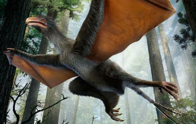 5 Fakta Tentang Dinosaurus, Hewan Purba yang Bikin Kagum