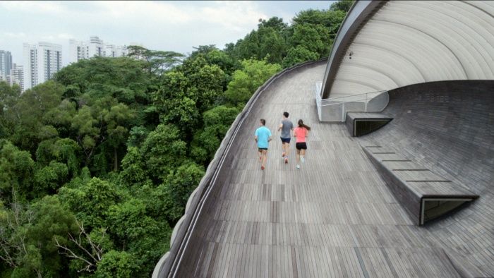 10 Fakta Unik Henderson Waves, Jembatan Tertinggi & Cantik Singapura