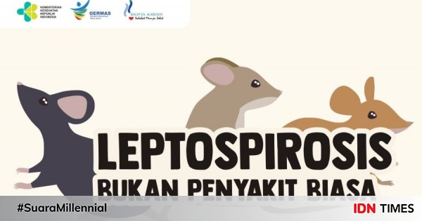 Penyakit Leptospirosis Di Tulungagung 1 Pasien Meninggal