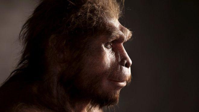 5 Fakta tentang Manusia Purba yang Sudah Ada Sejak Jutaan Tahun Lalu