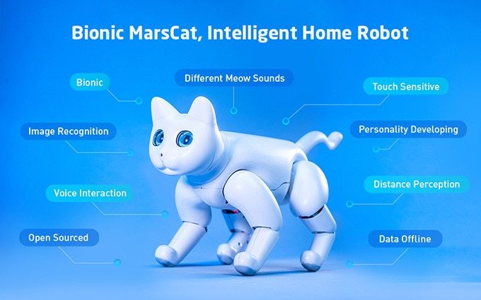 MarsCat, Robot Pengganti kalau Kamu Alergi Sama Bulu Kucing