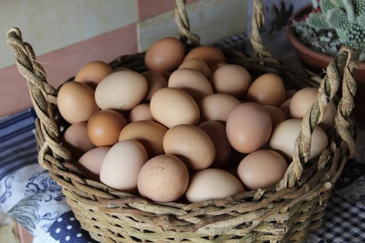 Food 101: Aman Gak Sih Makan Telur Kedaluwarsa?