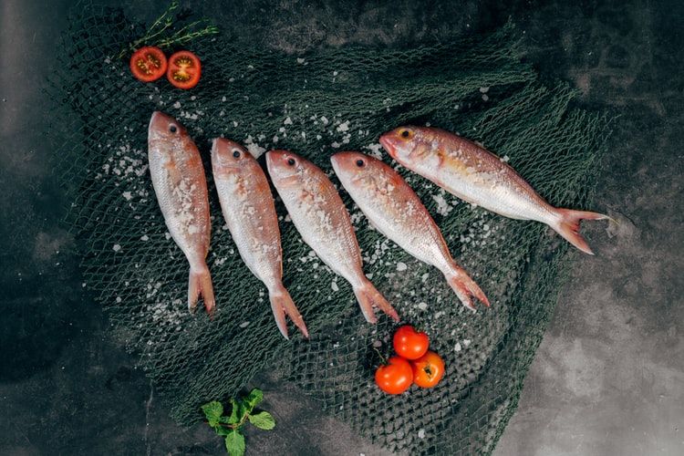 88 Jelaskan Pengertian Ikan Air Laut Dan Berikan Contohnya Gratis Terbaru