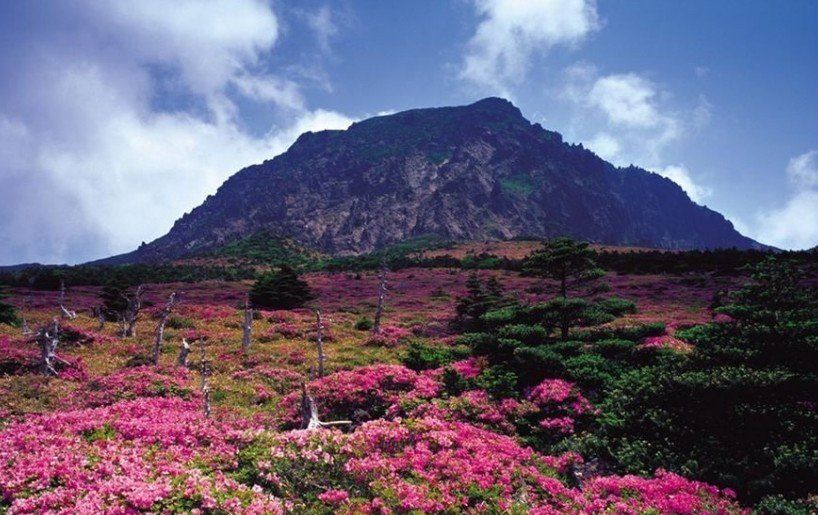 9 Tempat Wisata Di Pegunungan Korea Selatan, Bertabur Festival!