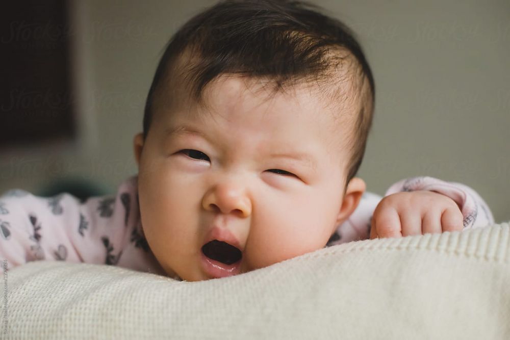 12 Foto  Kocak  Bayi  Waktu Menguap Momen Fotonya Pas Banget 