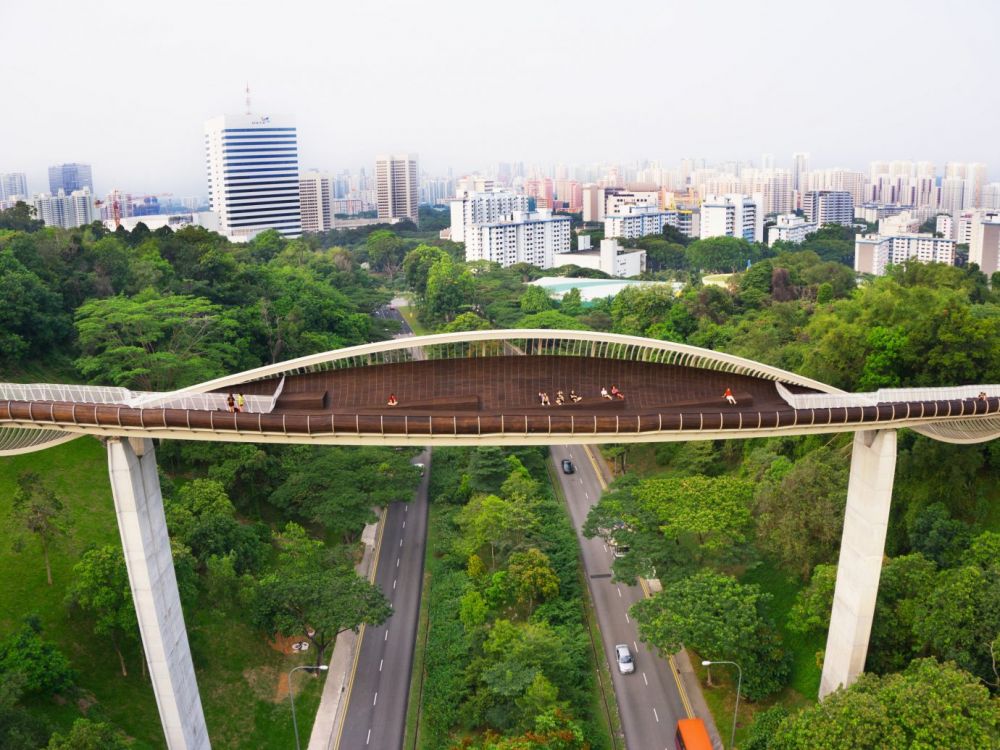 10 Fakta Unik Henderson Waves, Jembatan Tertinggi & Cantik Singapura