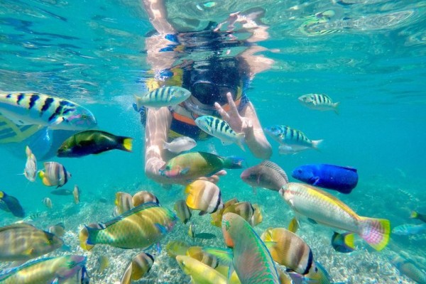 Menikmati Keindahan Bawah Laut Gili Petelu di Lombok Timur