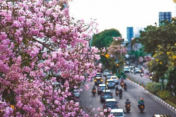 5 Tempat yang Dijamin Khas Banget untuk Keliling Surabaya Seharian