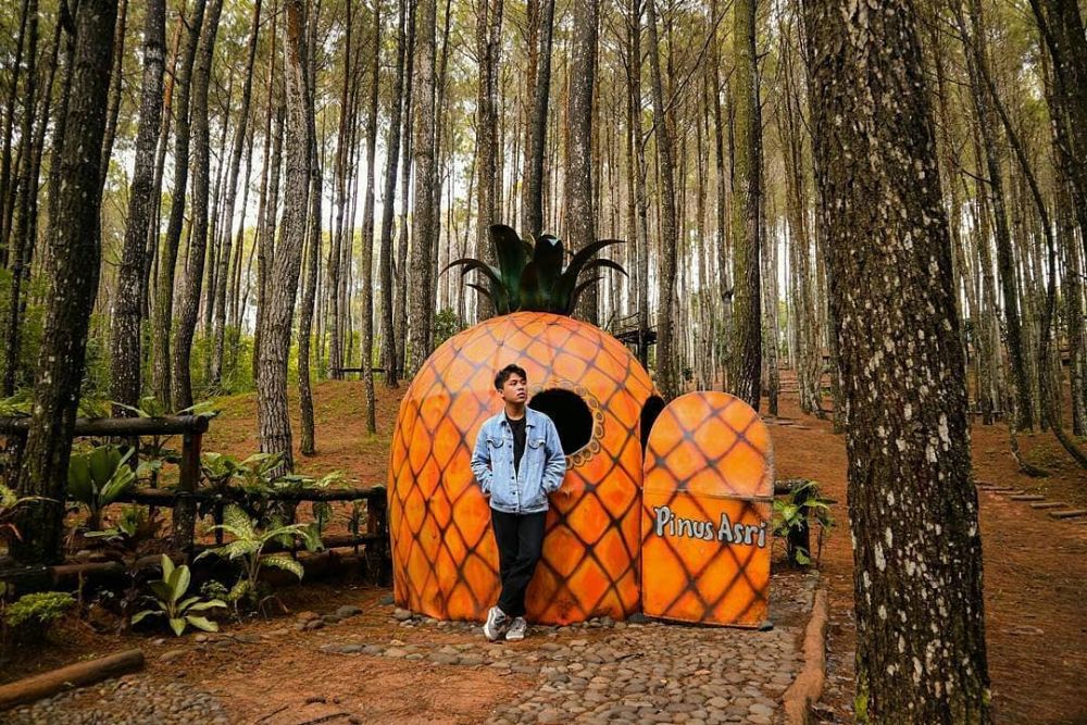 Kece Banget, 5 Tempat Wisata Bertema Hutan Paling Hits di Jogja!