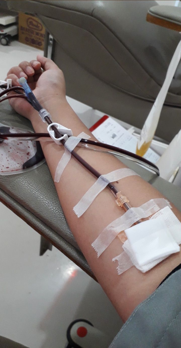 Imbas Pandemik COVID-19, PMI Makassar Kekurangan Stok Darah