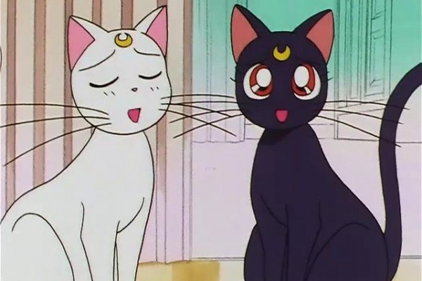 Sailor Moon: 5 Fakta tentang Artemis dan Luna, Duo Kucing Alien Gemas