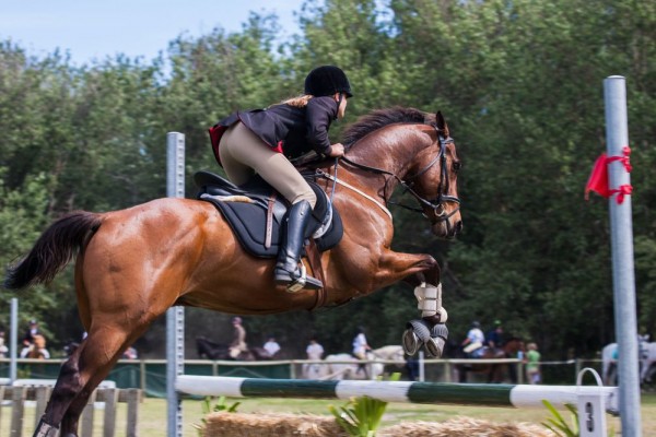 Olahraga Equestrian: Sejarah, Jenis, dan Manfaatnya
