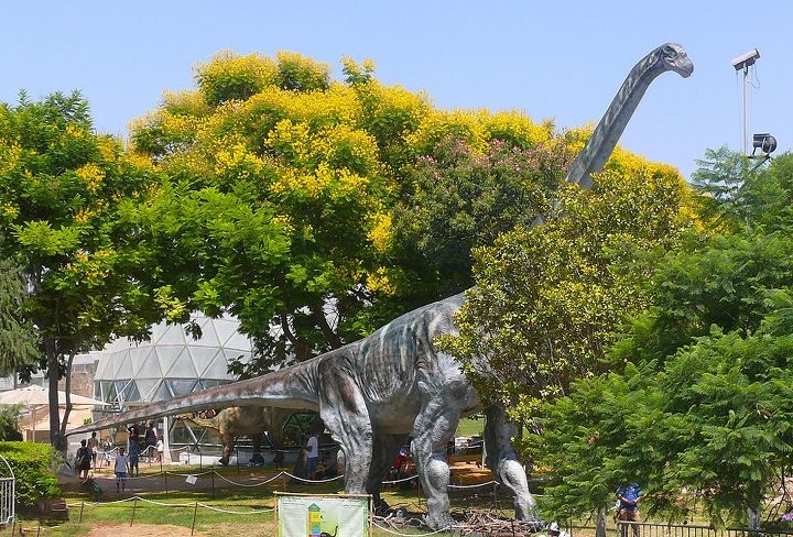 Fakta Argentinosaurus Dinosaurus Terbesar yang Pernah Hidup