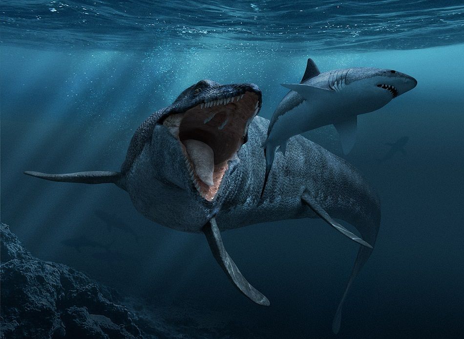 Fakta Mosasaurus Reptil Laut Purba Terbesar