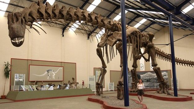 7 Fakta Argentinosaurus, Dinosaurus Terbesar yang Pernah Hidup!