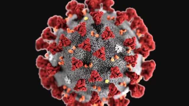 Atasi Virus Corona, Pemkot Malang Anggarkan Dana Rp2,81 Miliar 