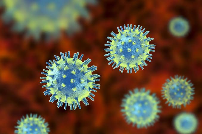 5 Fakta Penting tentang Virus yang Harus Kamu Ketahui dan Pahami