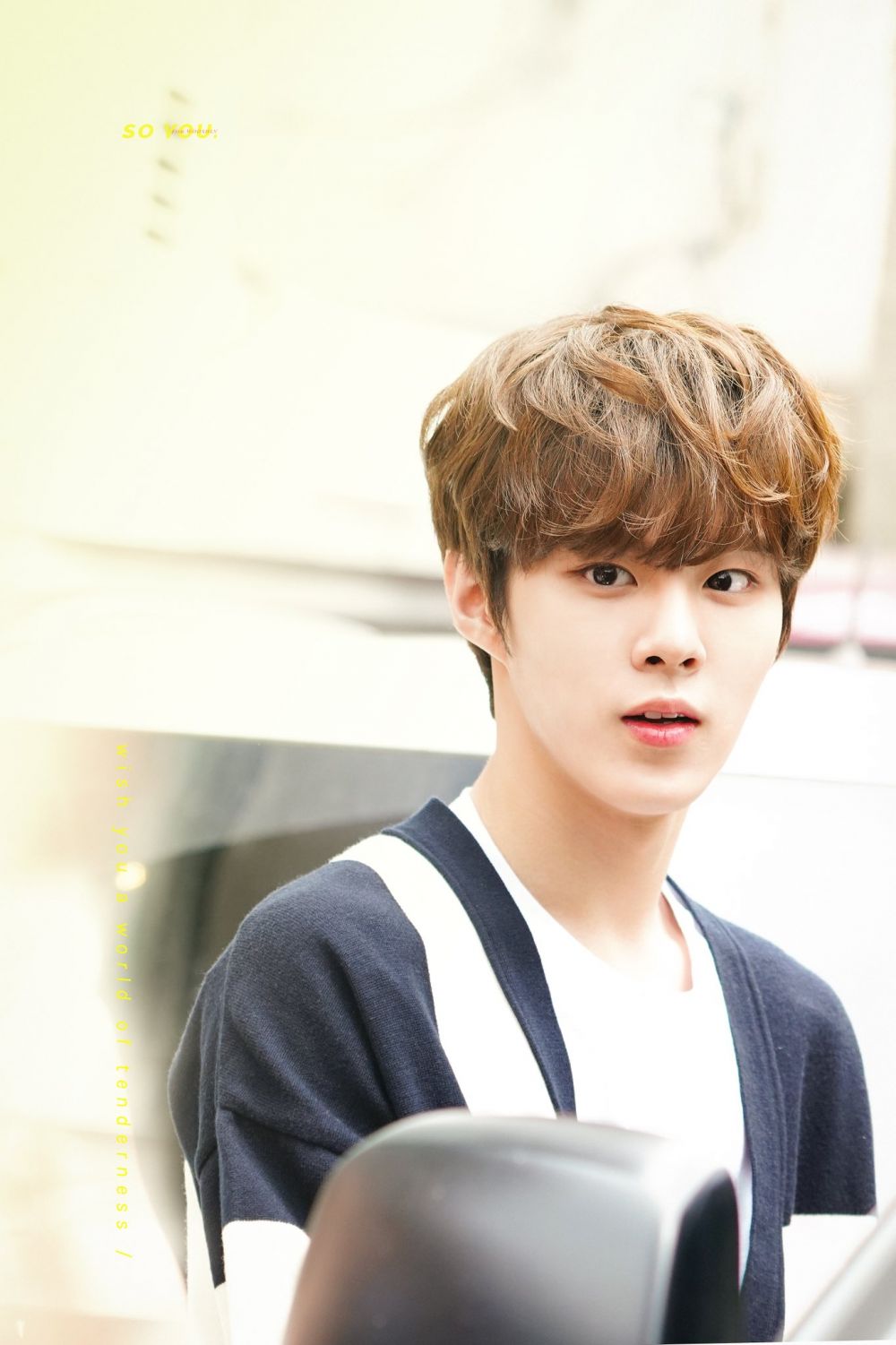 5 Fakta Menarik Web Drama 'Twenty Twenty' yang Dibintangi Kim Wooseok