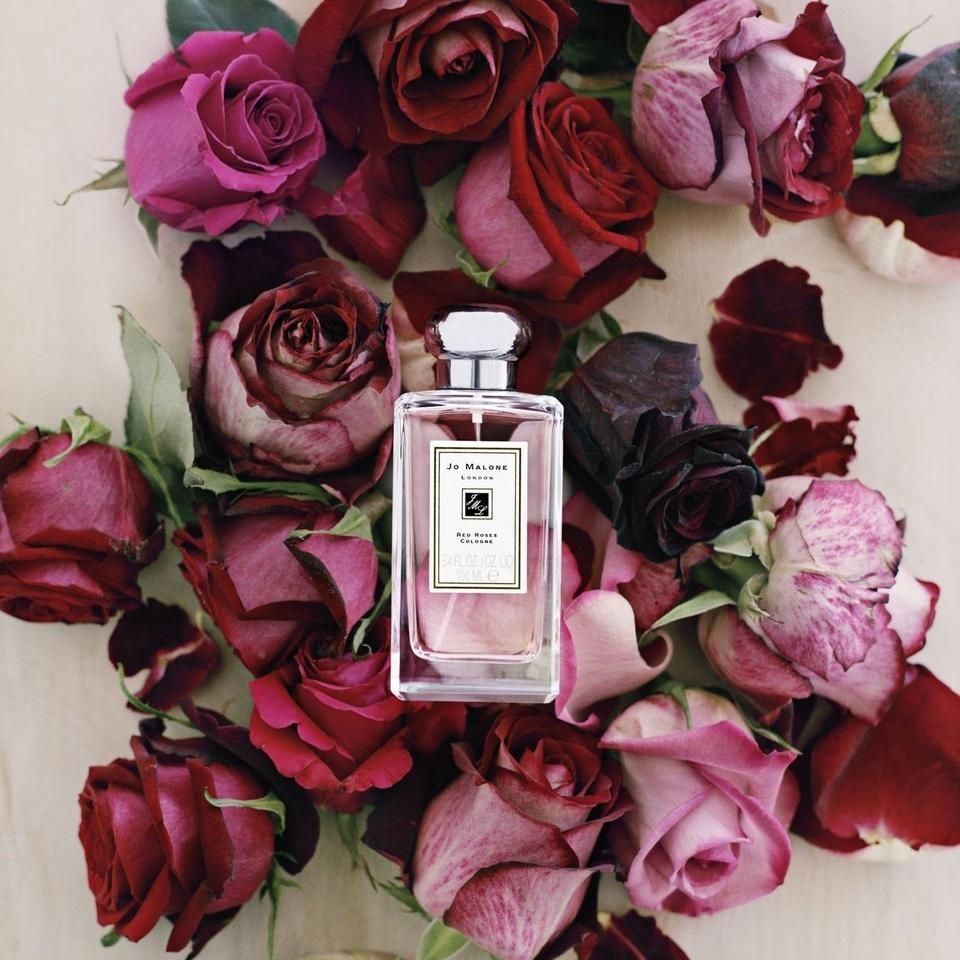 Mewah dan Segar, 6 Parfum dengan Wangi Bunga Mawar yang Menarik Dicoba