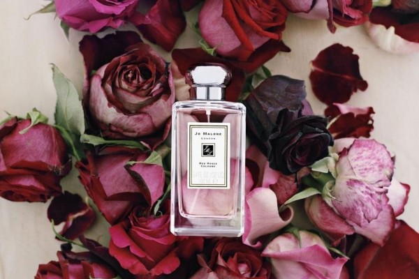 Mewah dan Segar, 6 Parfum dengan Wangi Bunga Mawar yang Menarik Dicoba
