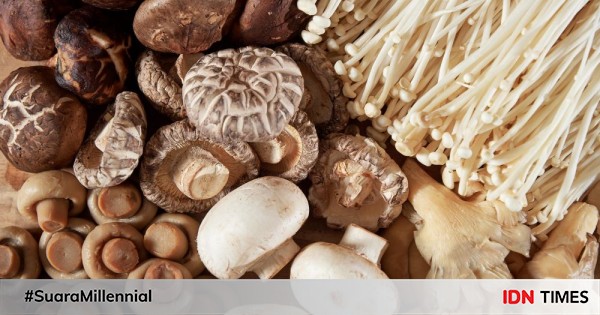 10 Jenis Jamur Ini Aman dan Dapat Dikonsumsi, Kamu Suka yang Mana?