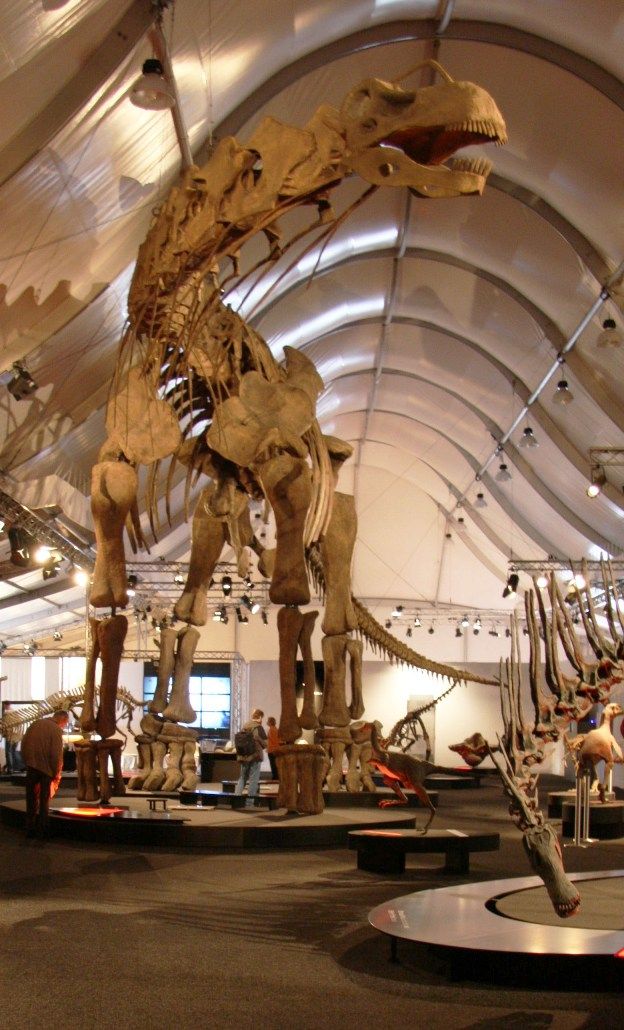 7 Fakta Argentinosaurus, Dinosaurus Terbesar yang Pernah Hidup!