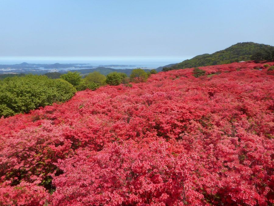 Eksplor Kesennuma Jepang, Ini 5 Spot Wisata yang Bisa Kamu Kunjungi