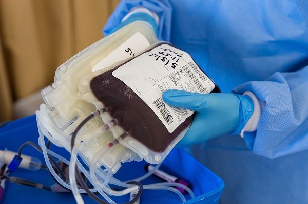 PMI Temukan 514 Kantong Darah Donor dengan Penyakit Menular