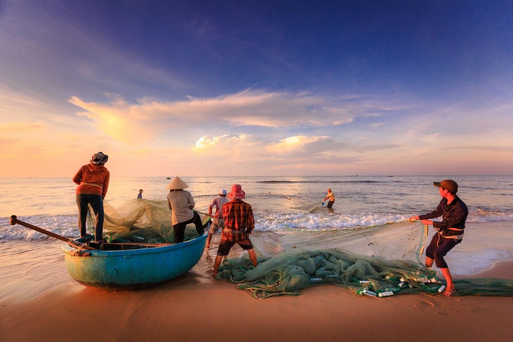 Ikan Teri Asin pun Kena Dampak Virus Corona