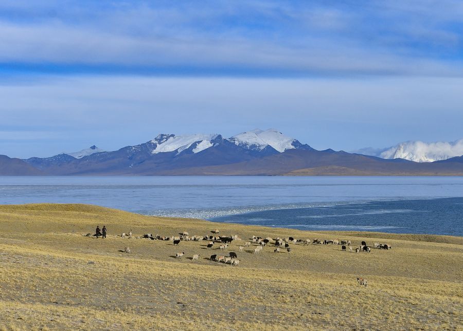 Berada di Ketinggian 5.030 Meter! 5 Fakta Unik Danau Puma Yumco, Tibet