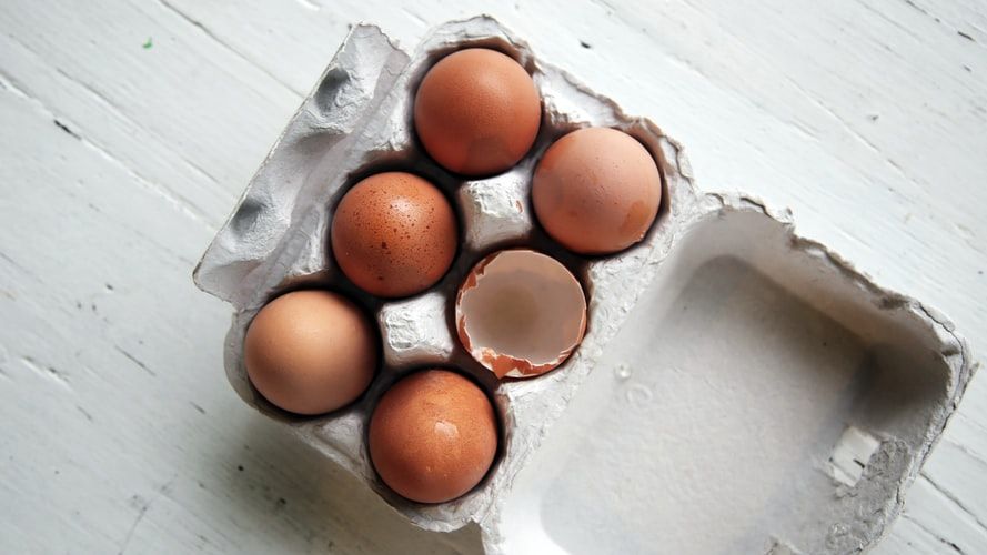 Telur Sentuh Harga Dasar, Peternak Ayam Ras Dipastikan Merugi 