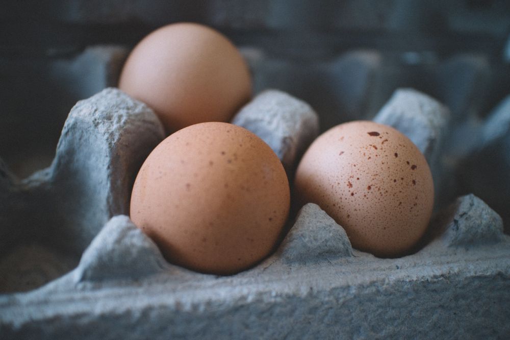 Telur Sentuh Harga Dasar, Peternak Ayam Ras Dipastikan Merugi 
