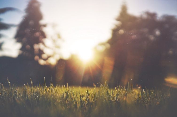 5 Efek yang Dapat Ditimbulkan oleh Sinar Matahari bagi Tubuh Manusia
