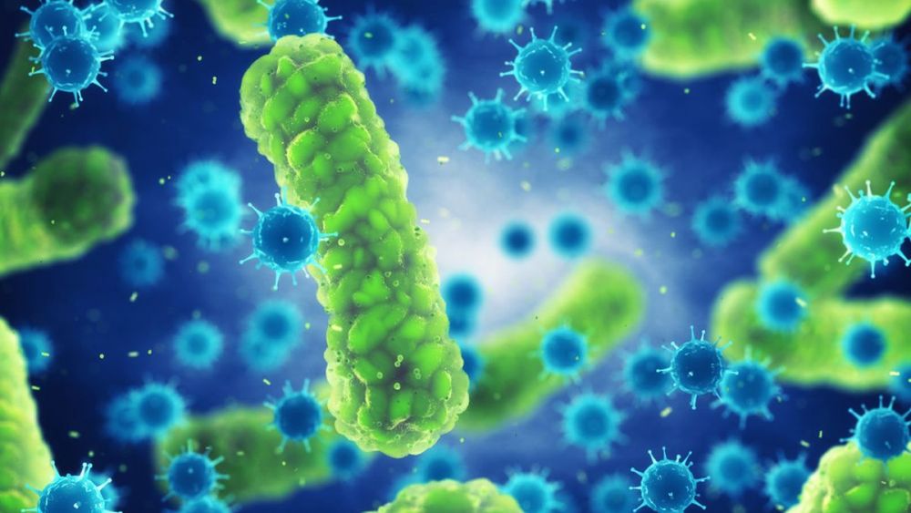 Jajanan Maut di KBB Ternyata Mengandung Bakteri Bacillus Cereus 