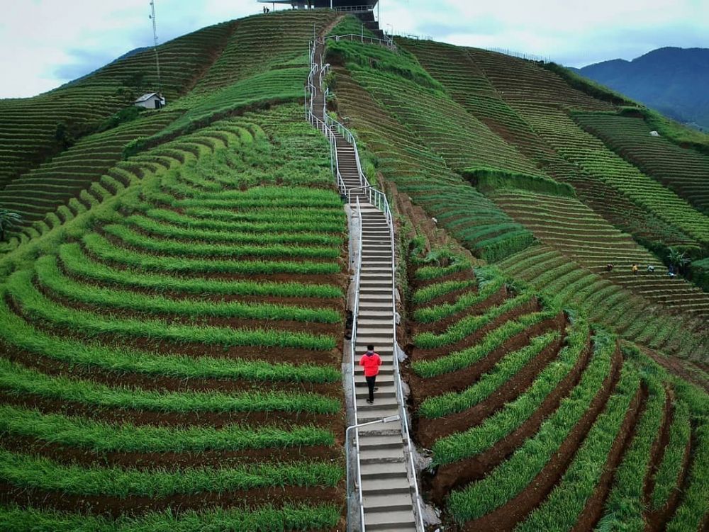 5 Rekomendasi Wisata Alam Unggulan Jabar, Cocok untuk Spot Fotografi