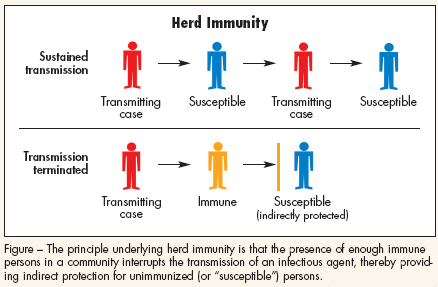 Pasang Surut Vaksinasi Menganju Herd Immunity Tanah Air