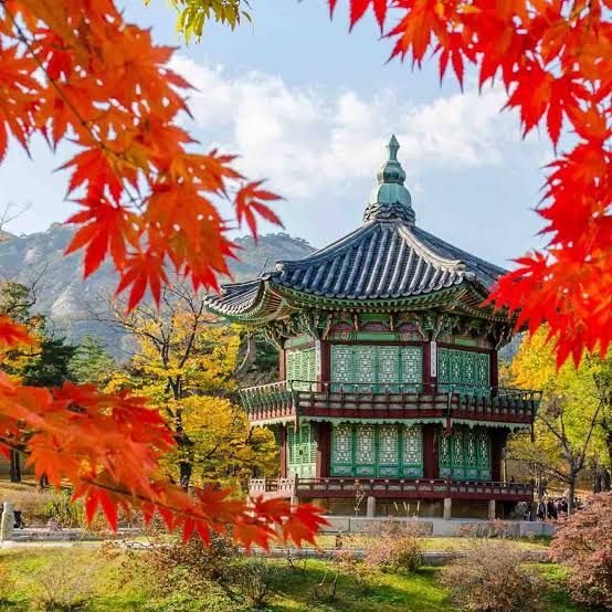 5 Wisata Underrated di Korea Selatan, Ada yang Mirip Ubud Lho!