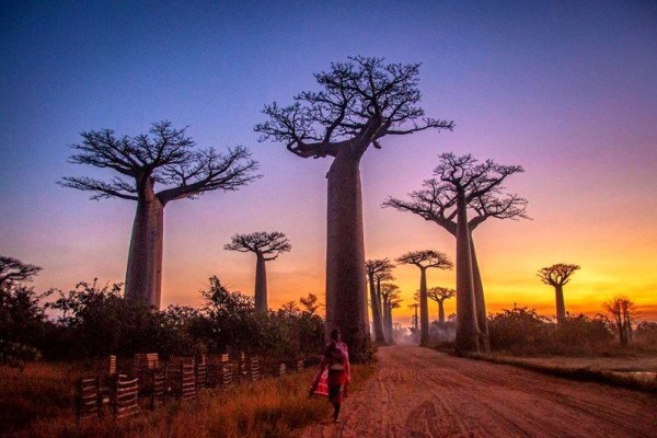 Fakta Menarik Negara Madagaskar