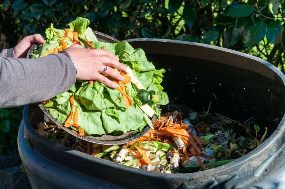 Setelah Masak Nasi Goreng, Pemkot Semarang Gelar Lomba Kelola Sampah