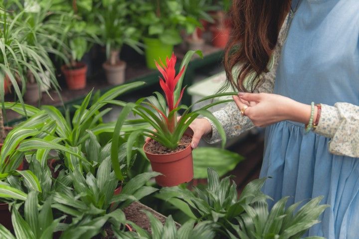 Dikenal Workaholic, Ini 5 Aktivitas yang Digemari Capricorn