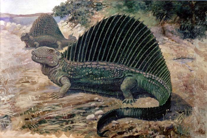 5 Jenis Hewan Purba yang Sering Dikira Dinosaurus, padahal Bukan 