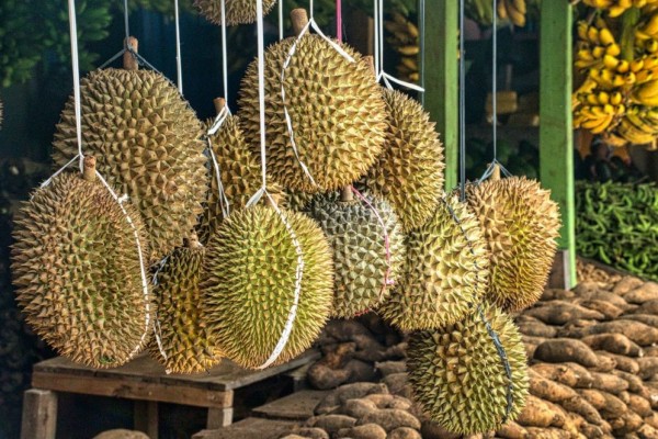 Durian hingga Jeroan, Makanan di Indonesia yang Dibenci Turis Asing